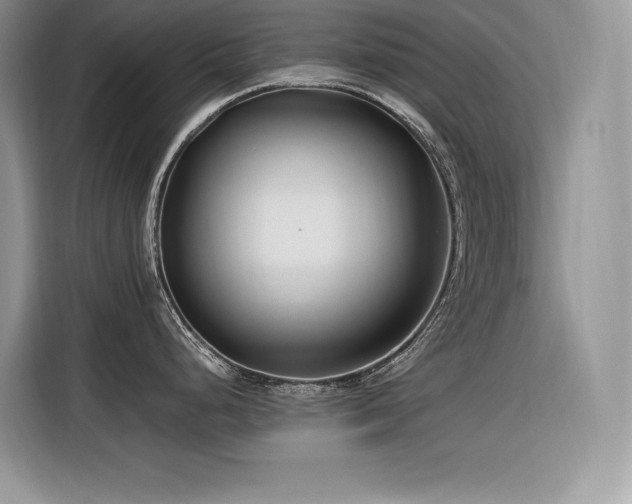 X0000116391248200912021533