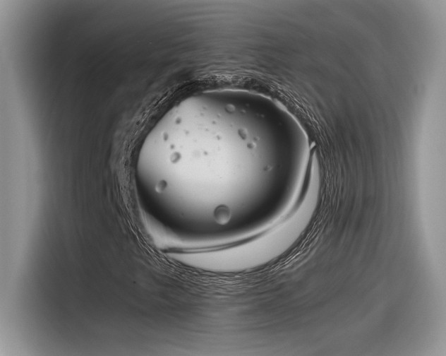 X0000116391249200912021533