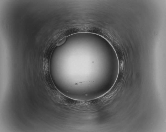 X0000116391251200912021533