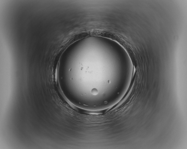 X0000116391252200912021533