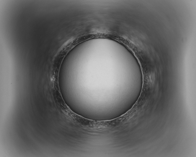 X0000116391254200912021533