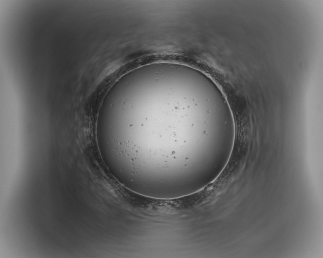 X0000116391255200912021533