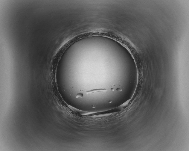 X0000116391256200912021533