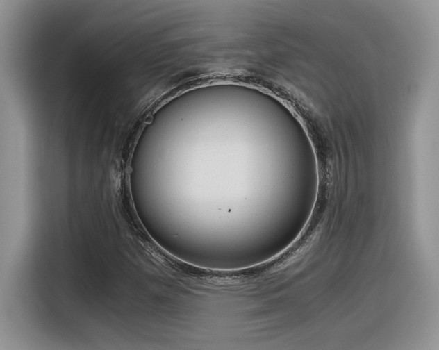 X0000116391257200912021532
