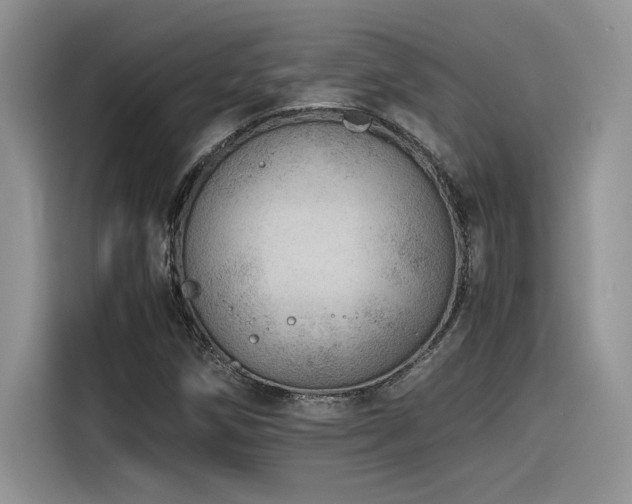 X0000116391258200912021532
