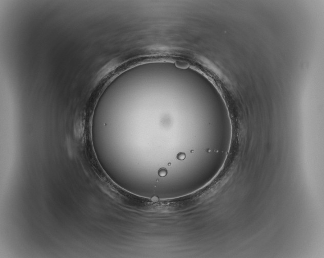 X0000116391259200912021532