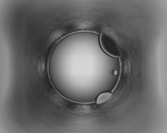 X0000116391261200912021532