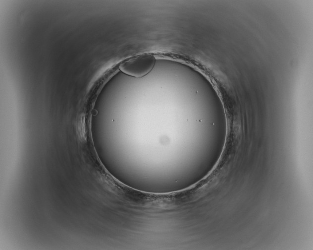 X0000116391262200912021532