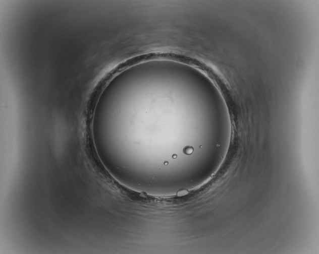 X0000116391263200912021532