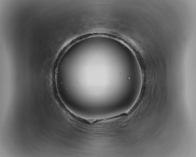 X0000116391264200912021532