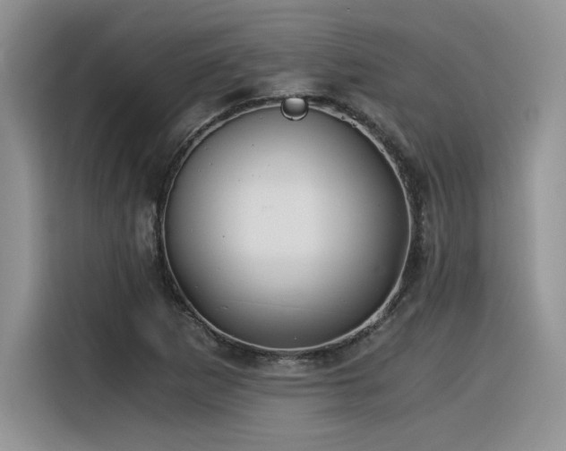 X0000116391265200912021532