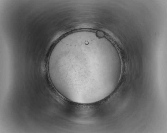 X0000116391266200912021532