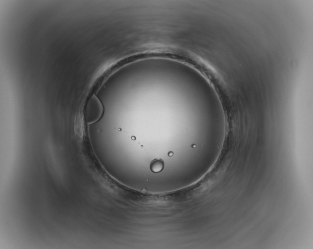X0000116391267200912021532