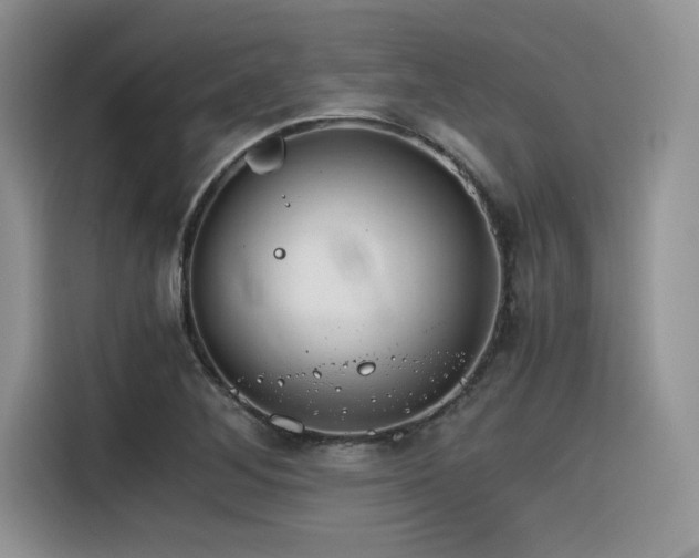 X0000116391268200912021532