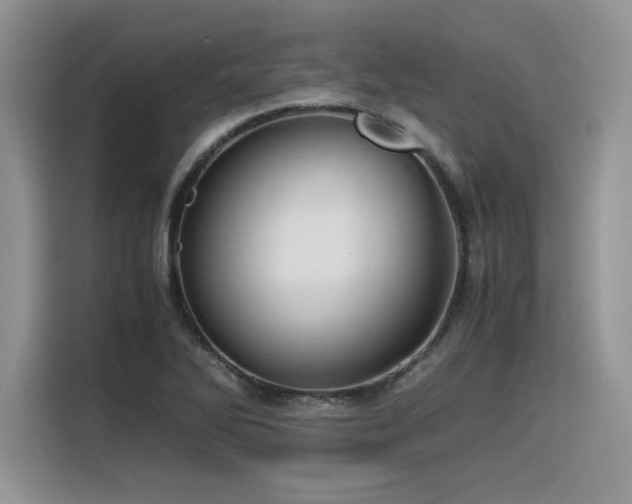 X0000116391270200912021532