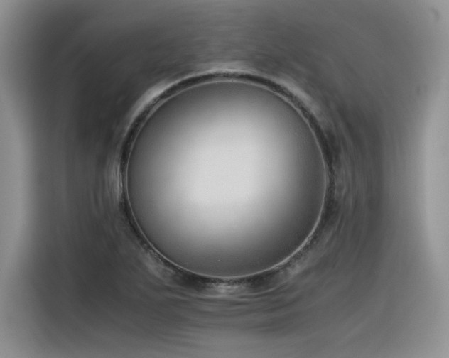 X0000116391271200912021532
