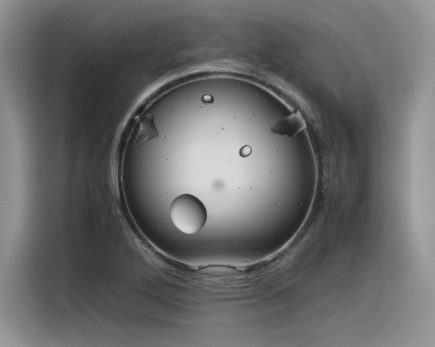 X0000116391272200912021532