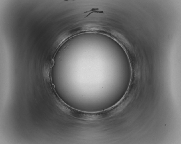 X0000116391273200912021532