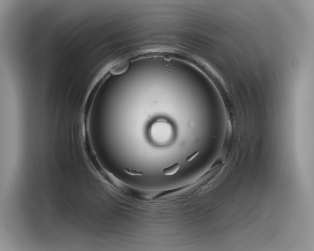 X0000116391274200912021532