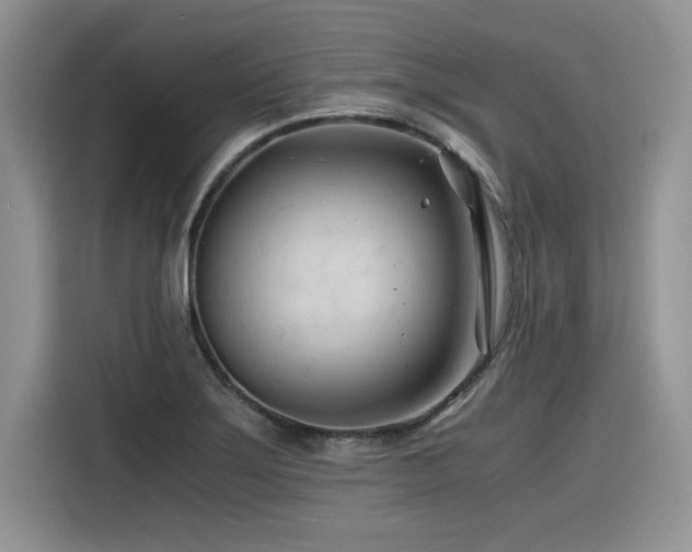 X0000116391275200912021532