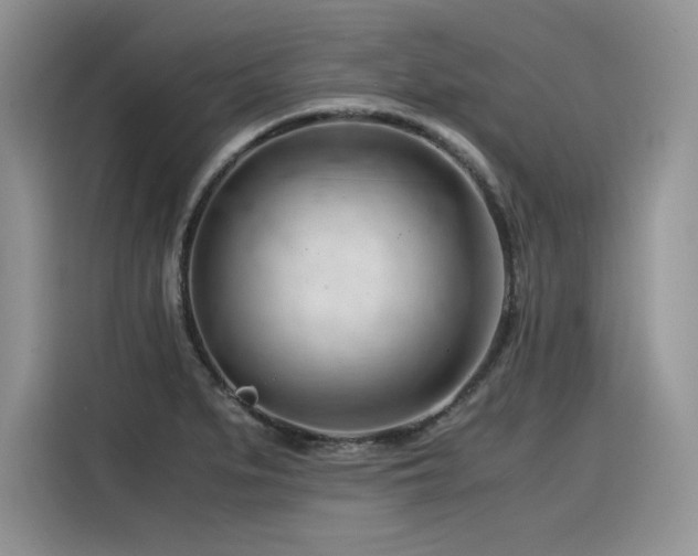 X0000116391279200912021532