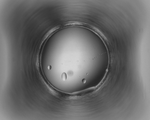 X0000116391282200912021532