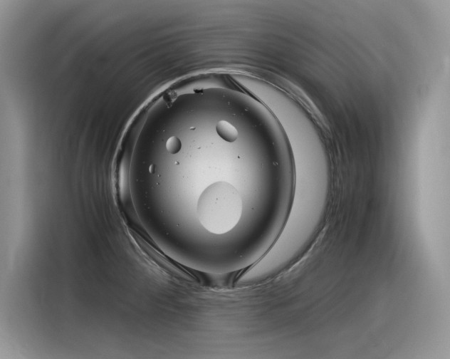 X0000116391284200912021532