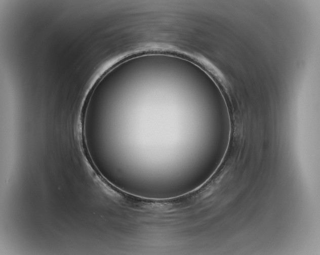 X0000116391287200912021532