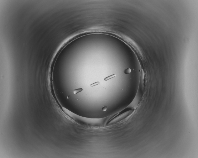 X0000116391288200912021532