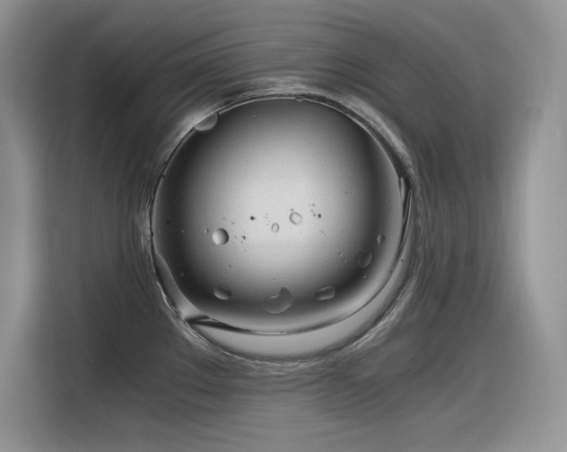 X0000116391289200912021532