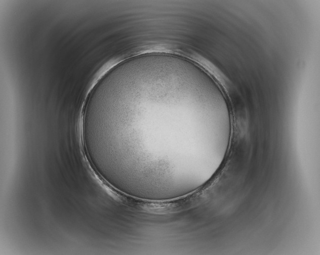 X0000116391290200912021532