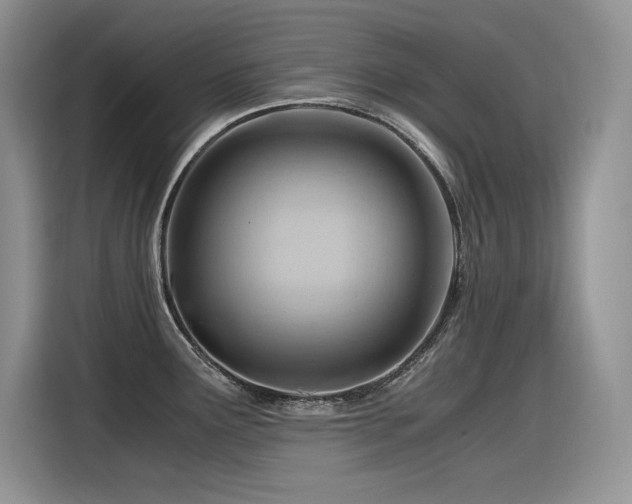 X0000116391291200912021532