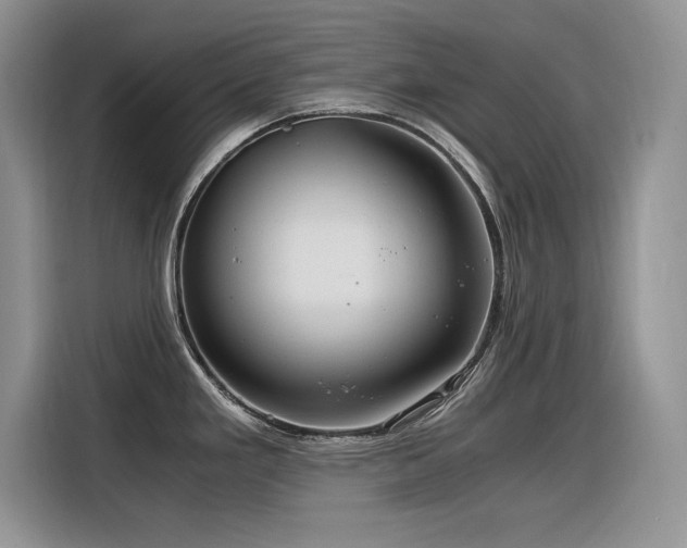 X0000116391293200912021532