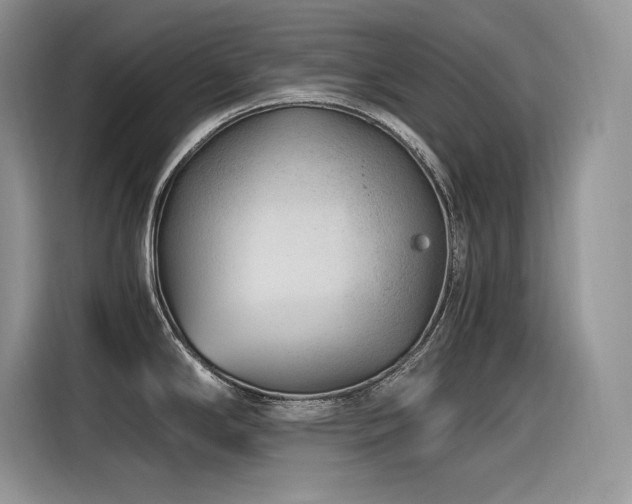 X0000116391294200912021532