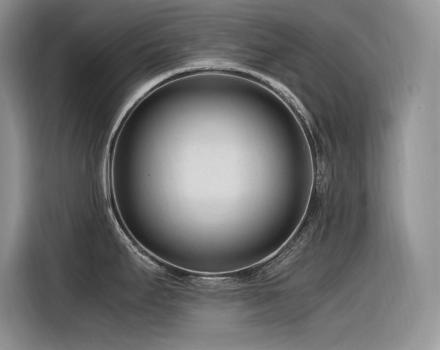 X0000116391295200912021532
