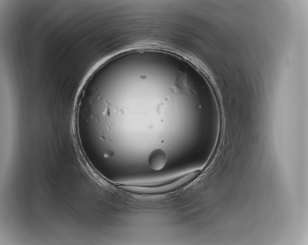 X0000116391296200912021532