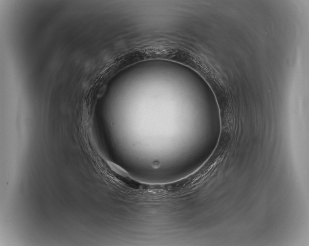 X0000116391297200912021531