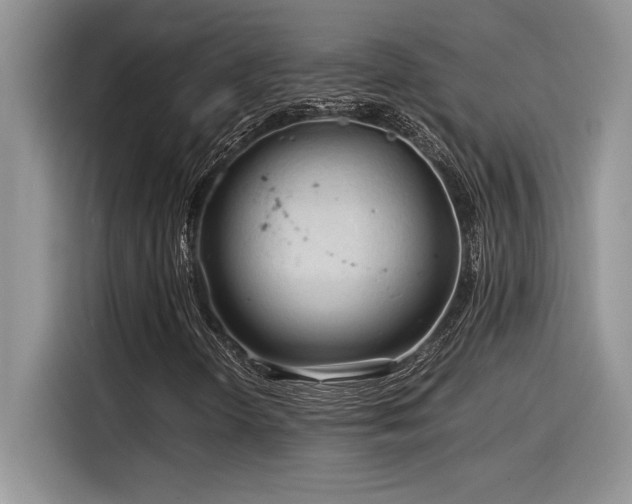 X0000116391298200912021531