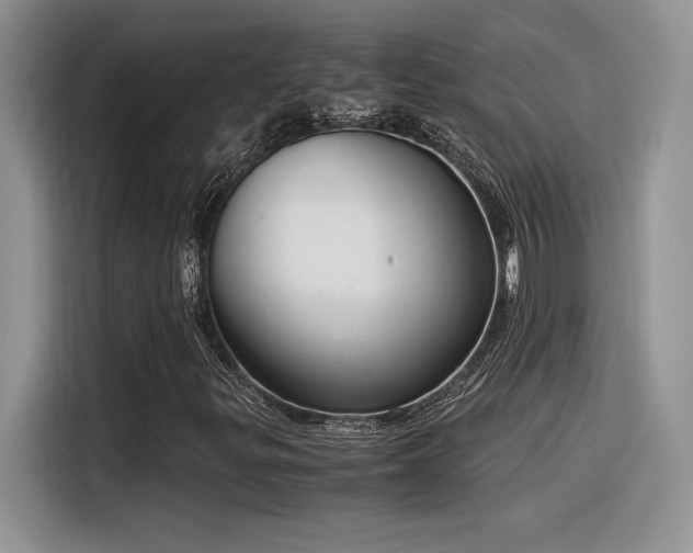 X0000116391299200912021531