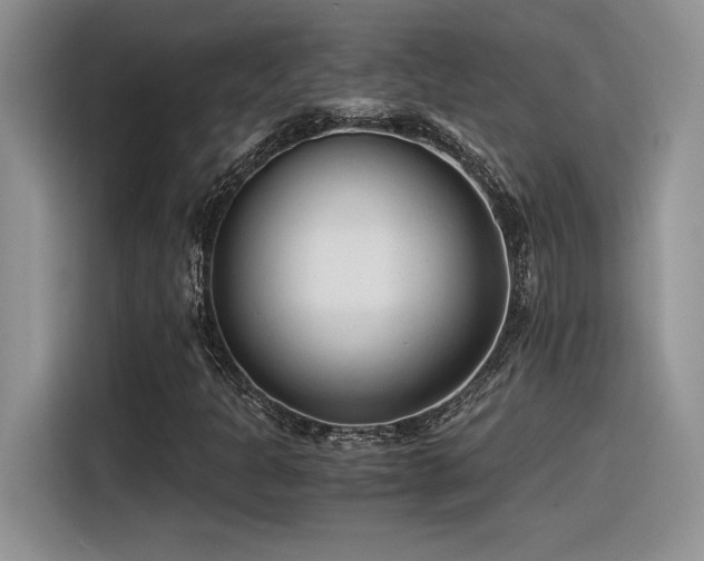 X0000116391301200912021531