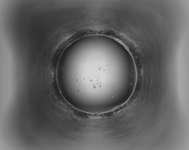 X0000116391302200912021531