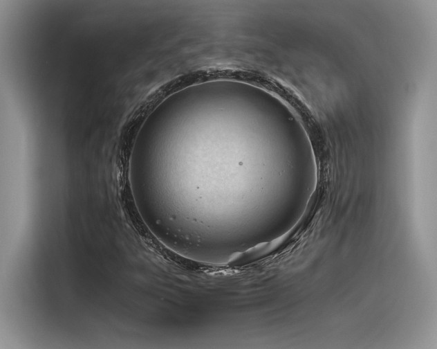 X0000116391303200912021531