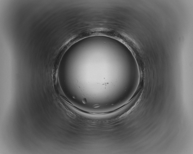 X0000116391305200912021531