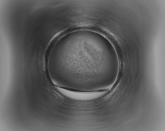 X0000116391306200912021531