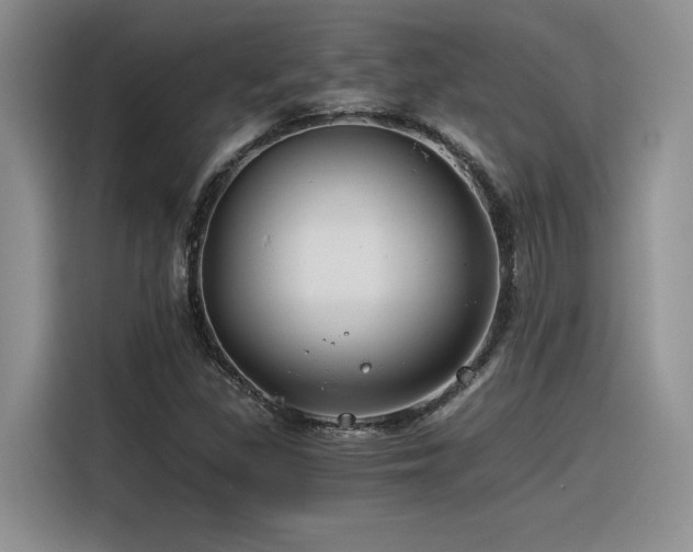 X0000116391309200912021532