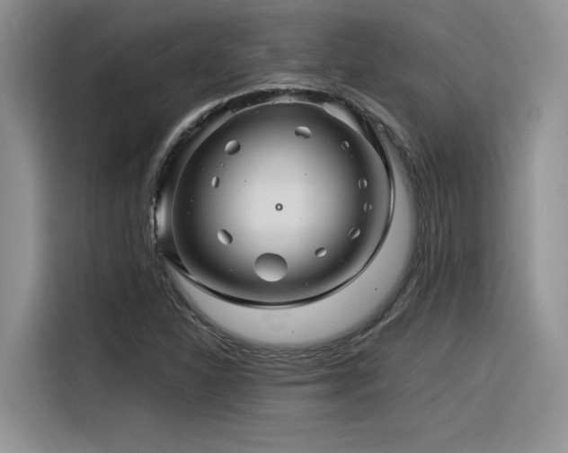 X0000116391310200912021532