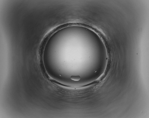 X0000116391311200912021532