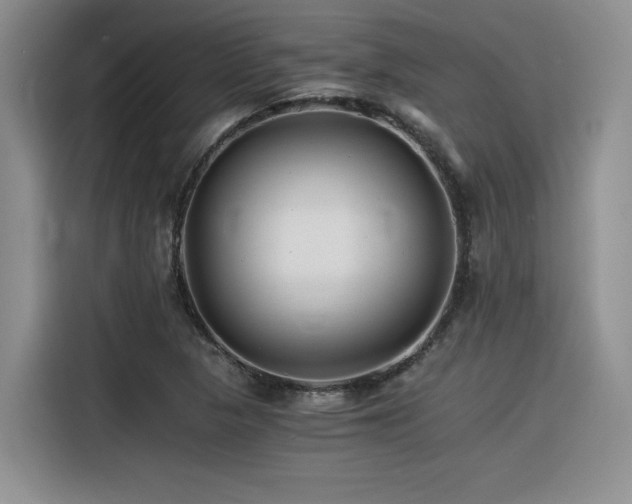 X0000116391313200912021532