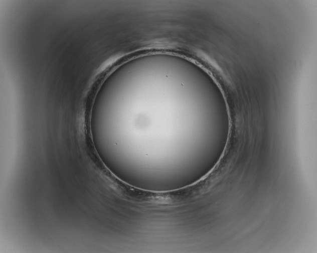 X0000116391315200912021532