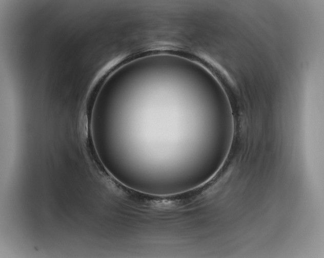X0000116391317200912021532